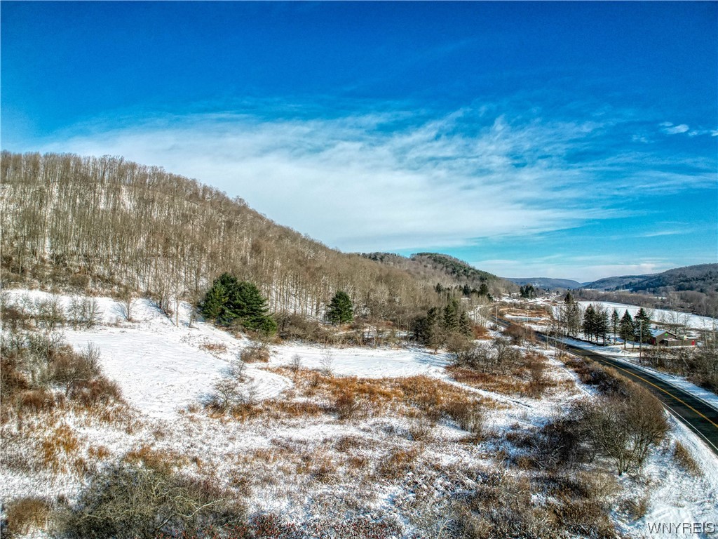 This beautiful and spacious building lot is just minutes from the village of Ellicottville, Holiday Valley, HoliMont, and all of those four-season destination attractions that you love. With a level entry point and gradual slope up the wooded ridge at the back of the lot, it could offer mountain and ski slope views with the right building placement. Bring your imagination and picture your home here. The survey of the lots and Horn Hill subdivision are available and only subject to the town's final approval. Lots #3,4,6, and 7 are also available. Opportunity is knocking for your Ellicottville experience!