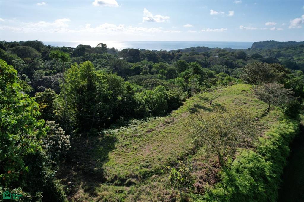 finca maranon, Puerto Cortés, Osa, Puntare, ,Residential,For Sale,finca maranon , Puerto Cortés, Osa, Puntare,CR23426786