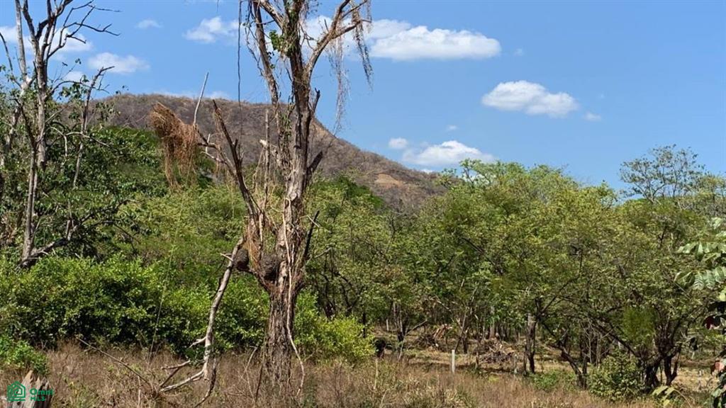 Playa Grande, Santa Cruz, Guanacaste, Santa Cruz, 50308, ,Land,For Sale, Playa Grande, Santa Cruz, Guanacaste,CR23492559