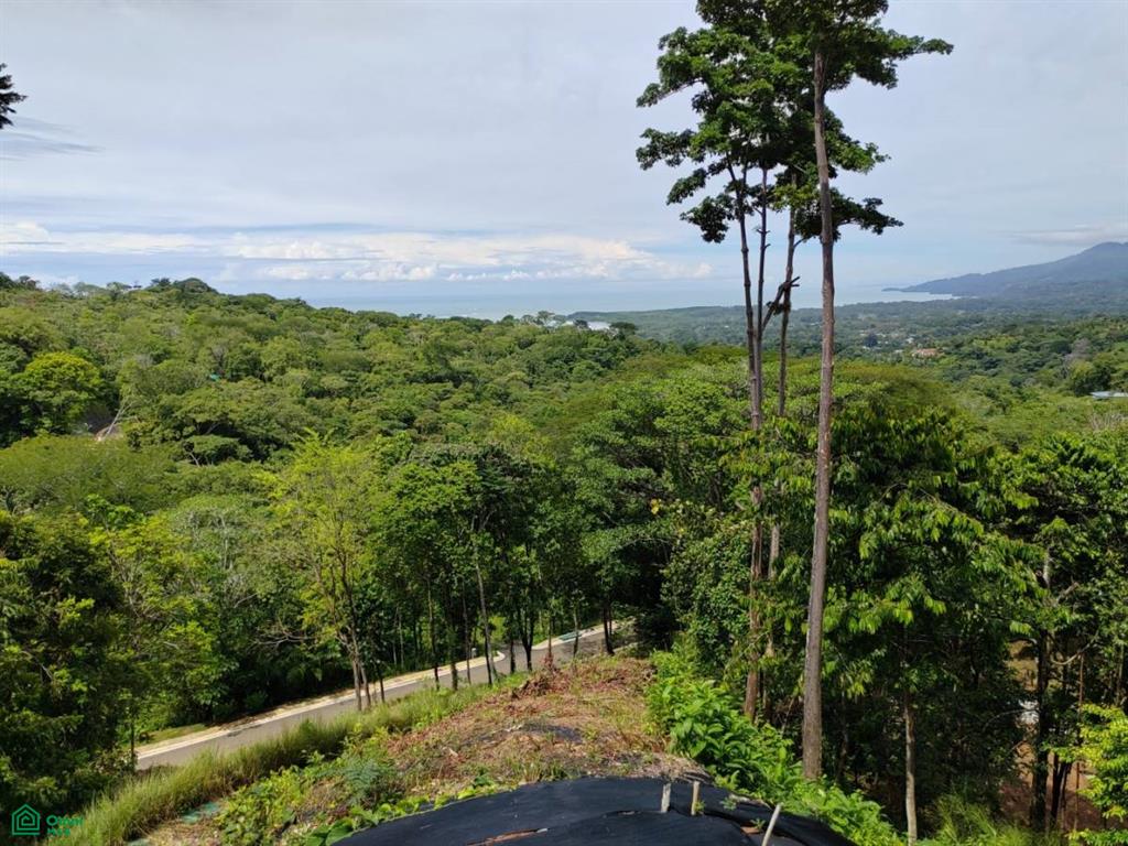 38 Dulce Pacífico, Puntarenas 60504, ,Land,For Sale,Dulce Pacífico,CR23551603