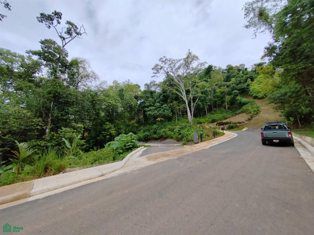 45 Dulce Pacífico, Puntarenas 60504, ,Land,For Sale,Dulce Pacífico,CR23551609