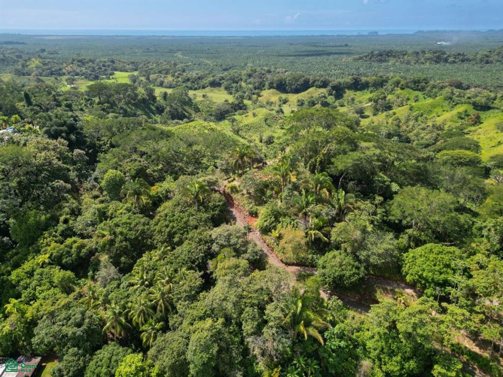 NA Ready to Build Development Property with Expansive, Puntarenas 60603, ,Land,For Sale,Ready to Build Development Property with Expansive,CR23569678