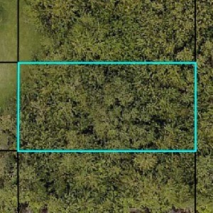 Affordable 50 x 100 lot in the Gifford area.  Can be combined with 4 other lots in the immediate area.