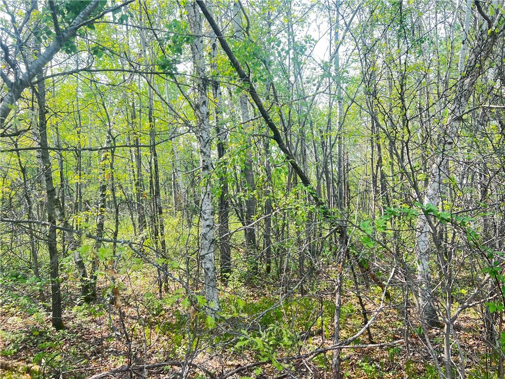 Lot 7 26th Street, Chetek, WI 54728