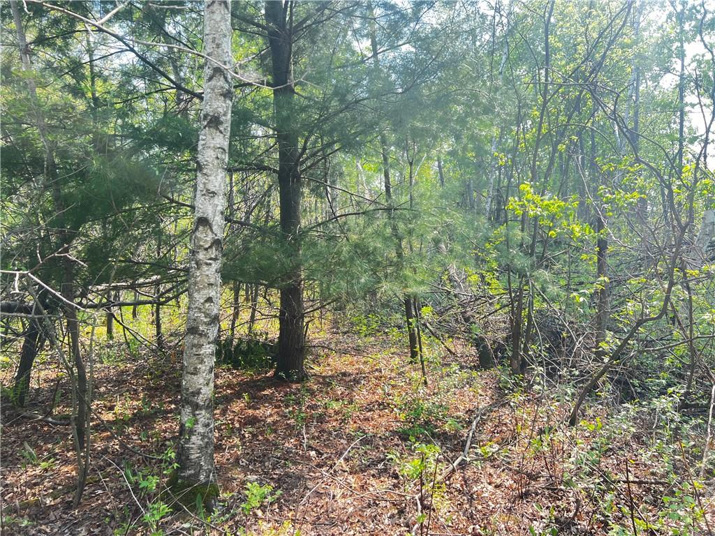 Lot 9 26th Street, Chetek, WI 54728