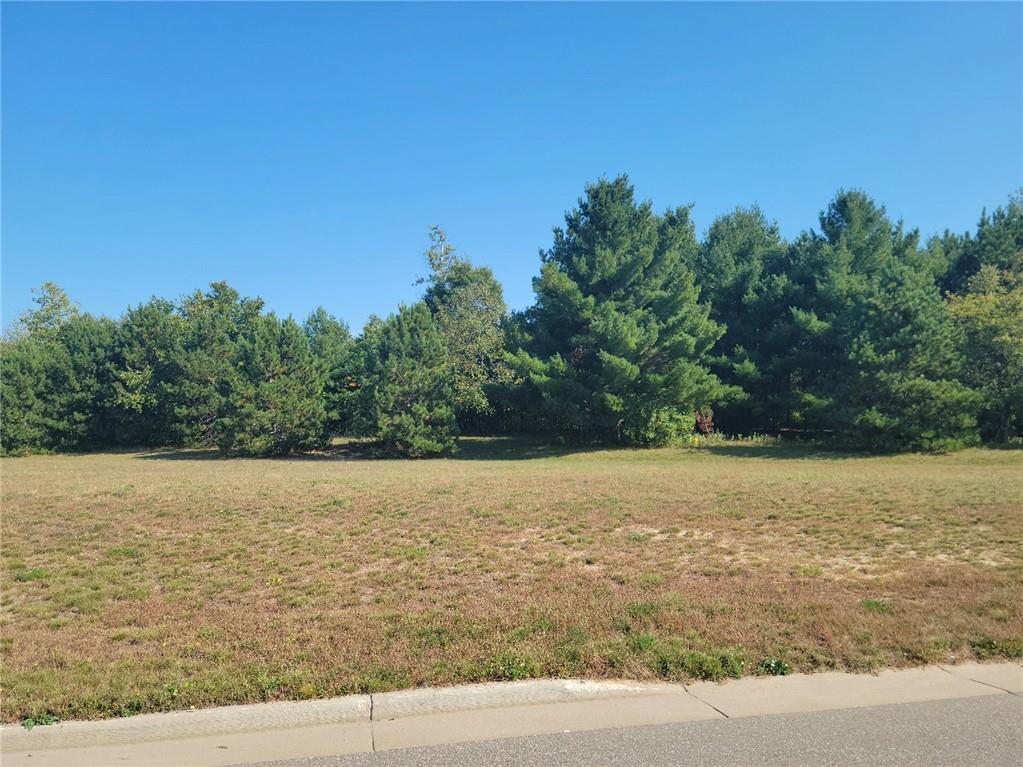 Lot 4 Charlotte Street/Range Road, Boyceville, WI 54725 Listing Photo  1