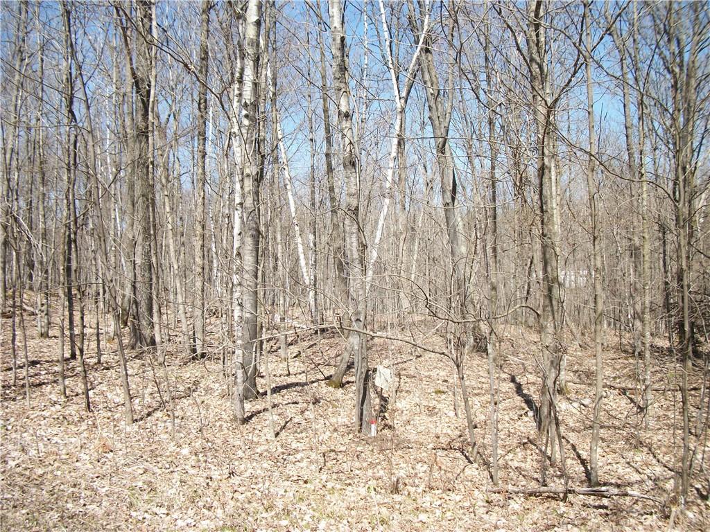 LOT#99 and 100 Woods (SPRUCE) Avenue , Birchwood, WI