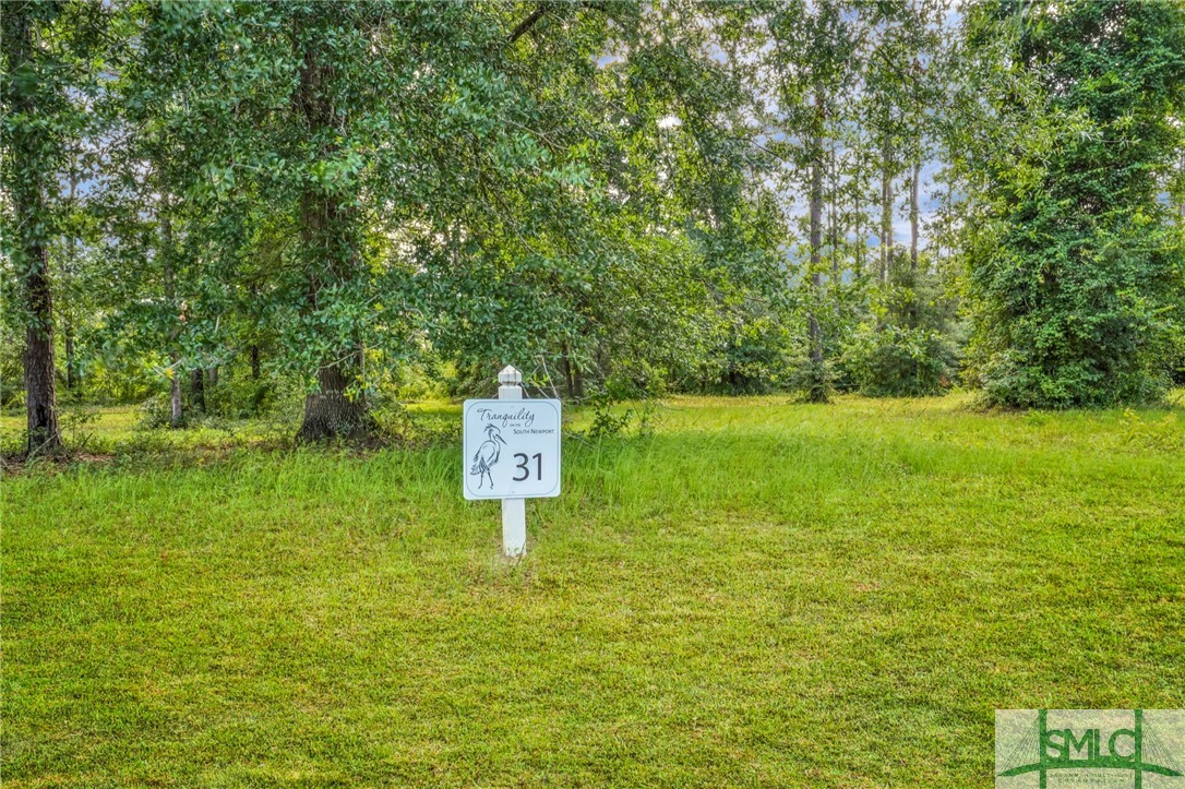 LOT 31 Tranquility Place, Townsend, GA 31331