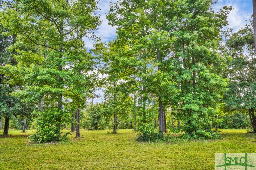 LOT 34 Tranquility Place, Townsend, GA 31331