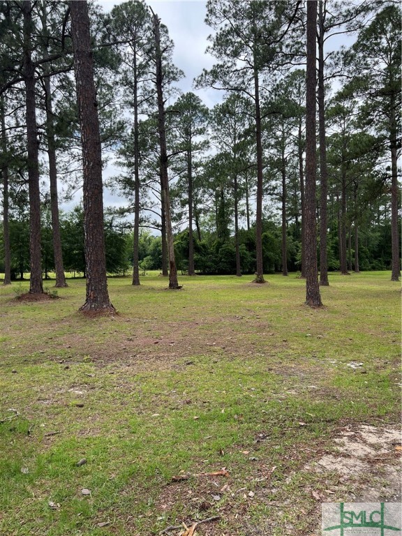 This property is ideal for development, just minutes to the new Hyundai EV plant, and right across the street from Bryan County High School. The value is in the land, the home has little to no value. City water and sewer onsite!