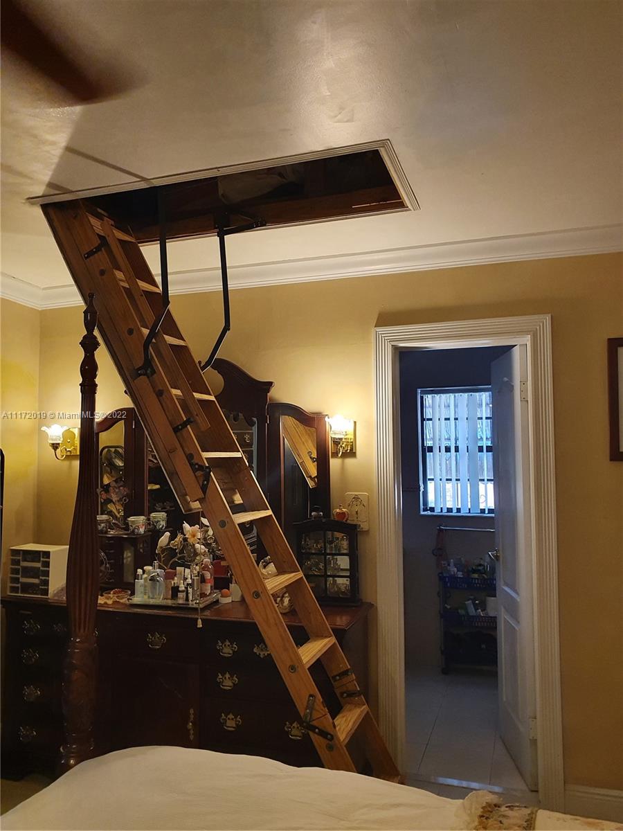 Attic Ladder