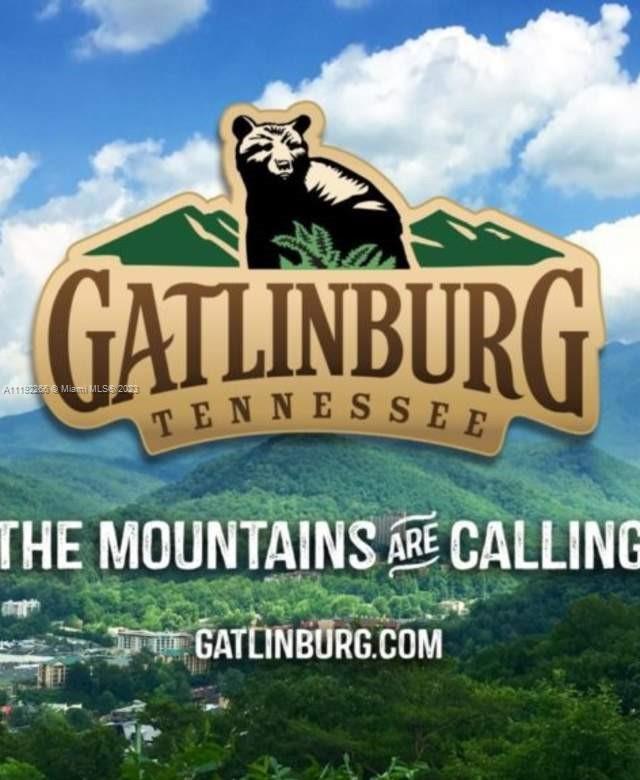 WELCOME TO GATLINBURG  TN