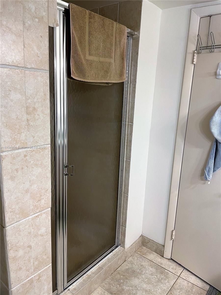 Shower in Master bathroom