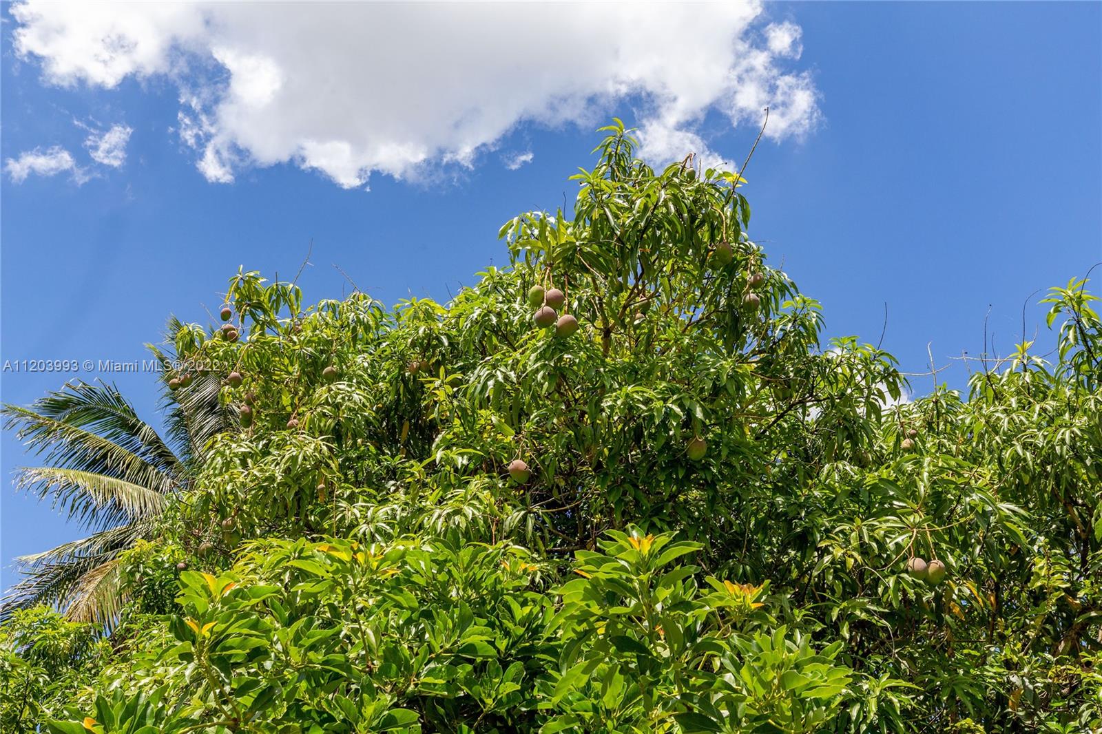 Listing Photo 18