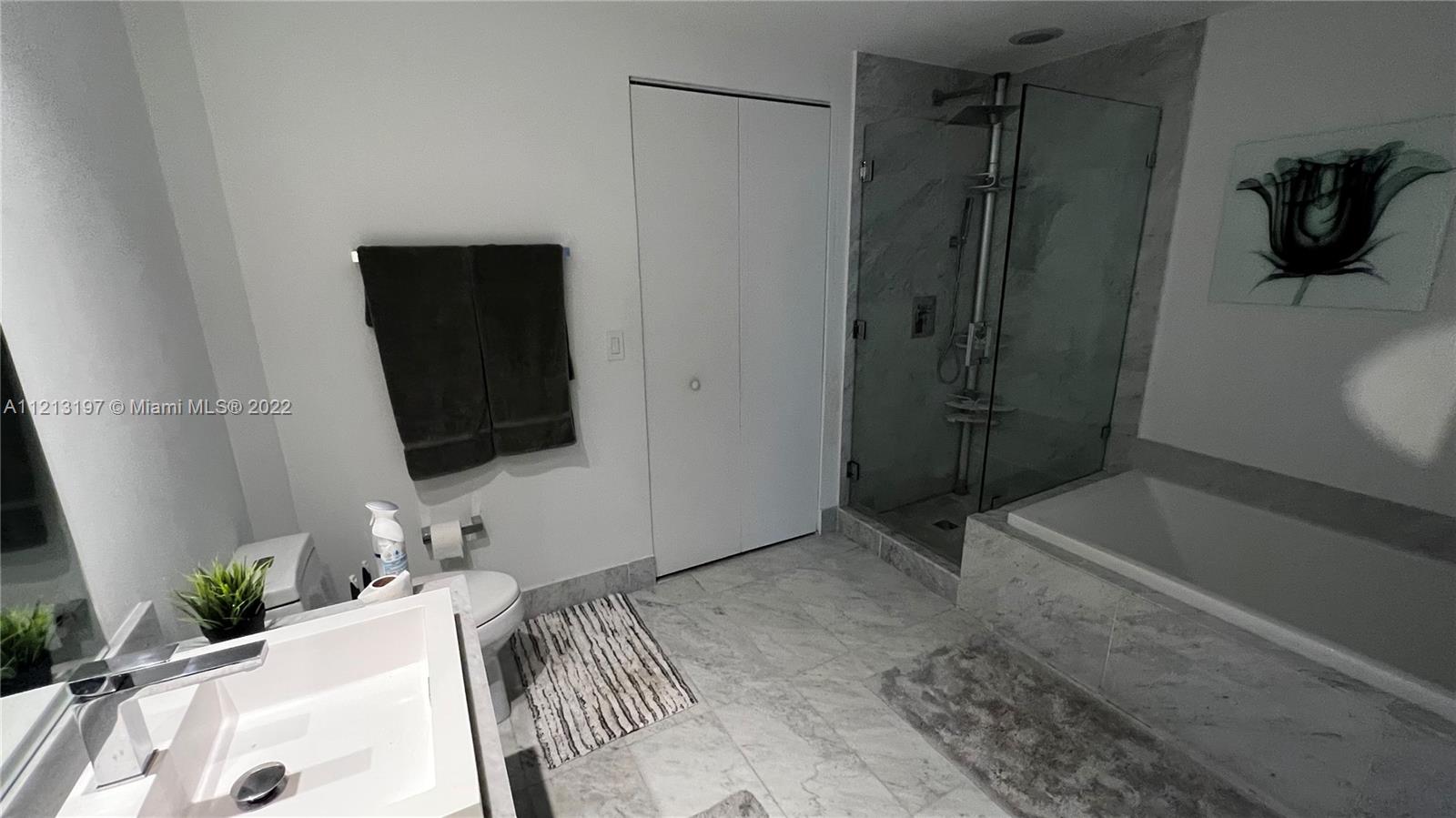 Master Bathroom(Entrance View)