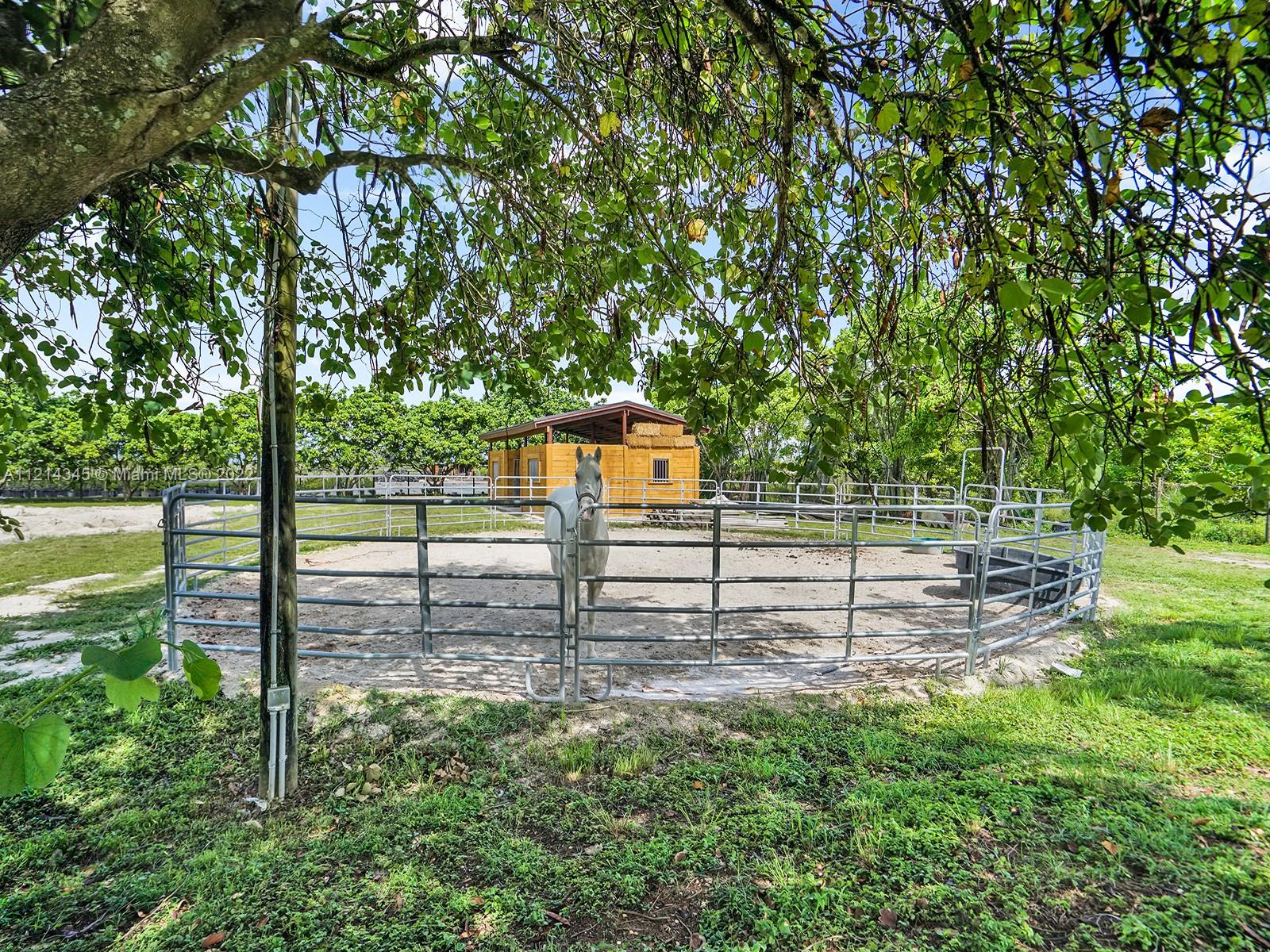 Listing Photo 14