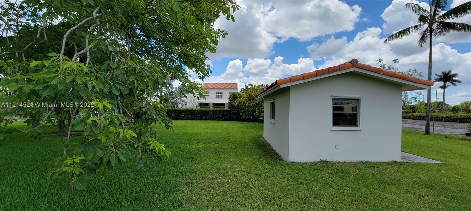 Backyard to residence,  separate office/storage and fruit trees