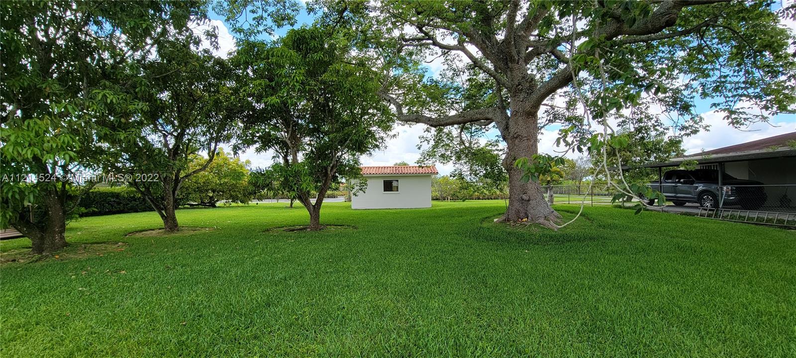 Rear view, backyard of residence