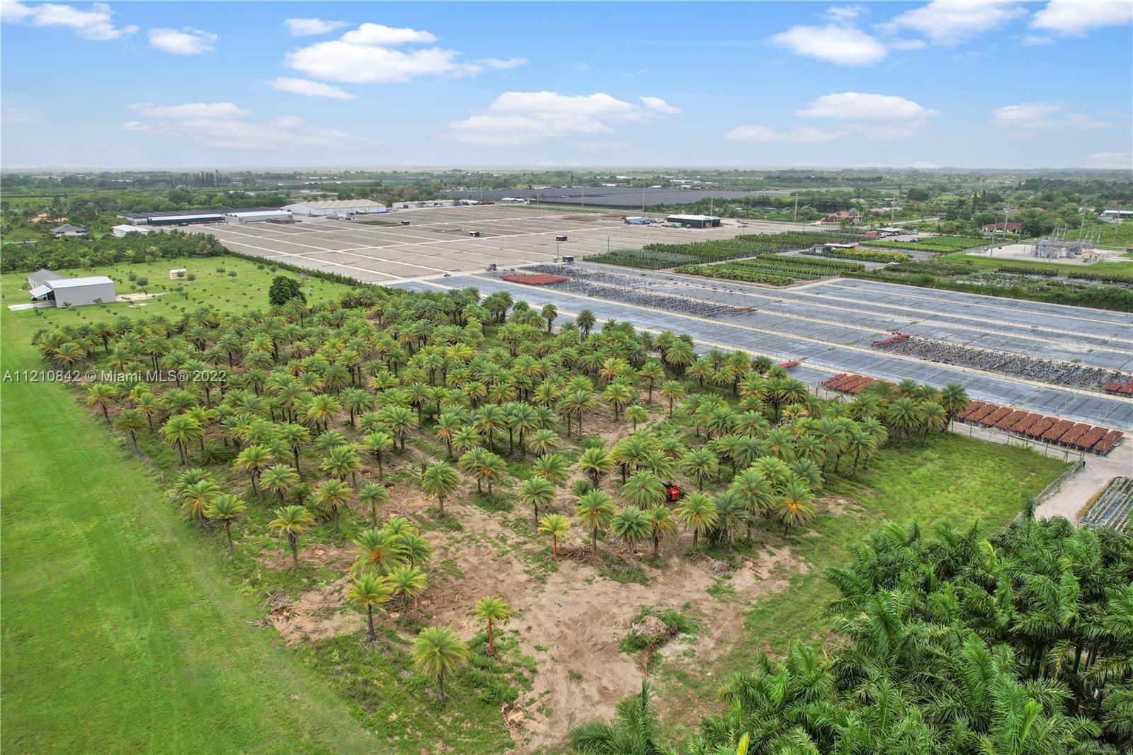 TAXI TO THIS BUILDABLE 5 ACRE SITE LOADED WITH  PALMS. RICHARDS IS A SMALL GATED AIRPORT COMMUNITY. SELL THE PALMS AND USE REMAINDER TO LANDSCAPE