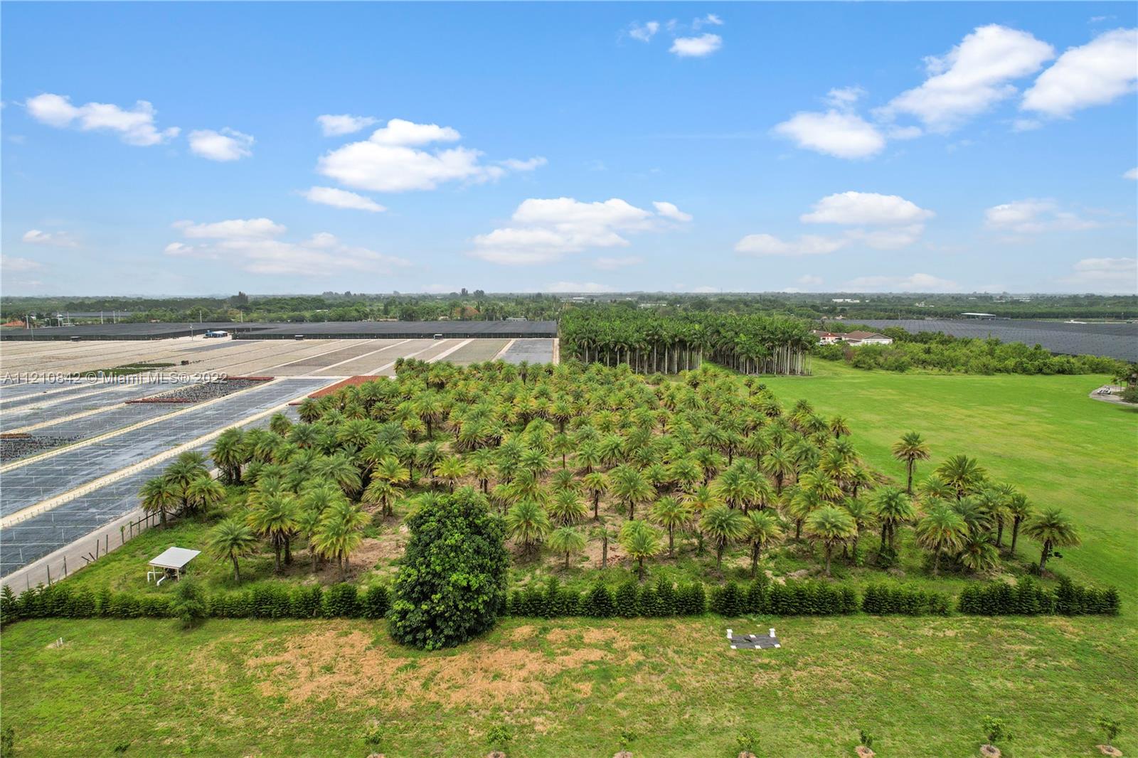 A VIEW TO THE EAST. THE GRASS RUNWAY ENDS JUST PAST US. THE NEIGHBOR TO E EAST IS A 21 ACRE HOME W PALMS AND GROVE. LOADS OF PRIVACY