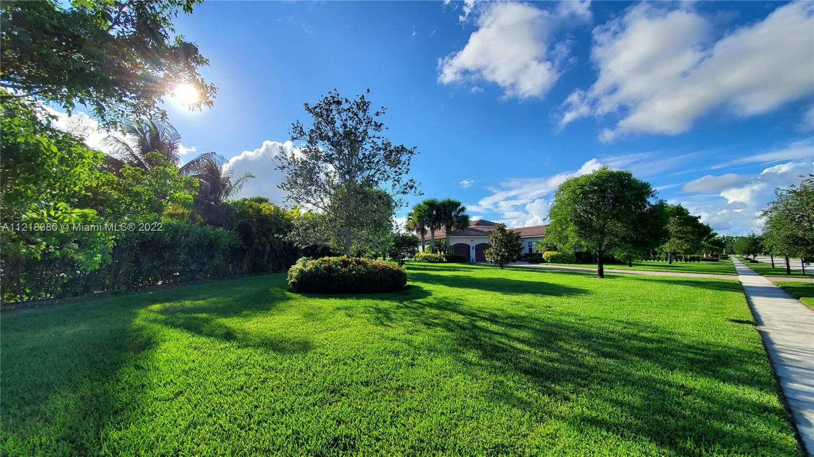 Lot view from corner. Majestic front yard. Yard features 50 trees (28 shade trees and 22 palm trees).