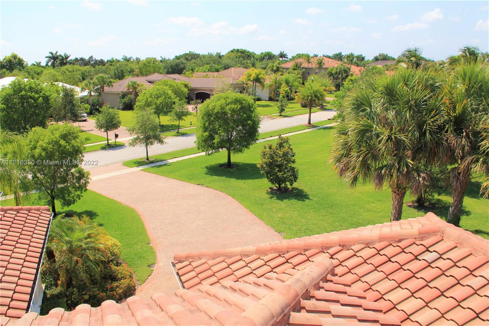 aerial view of the driveway