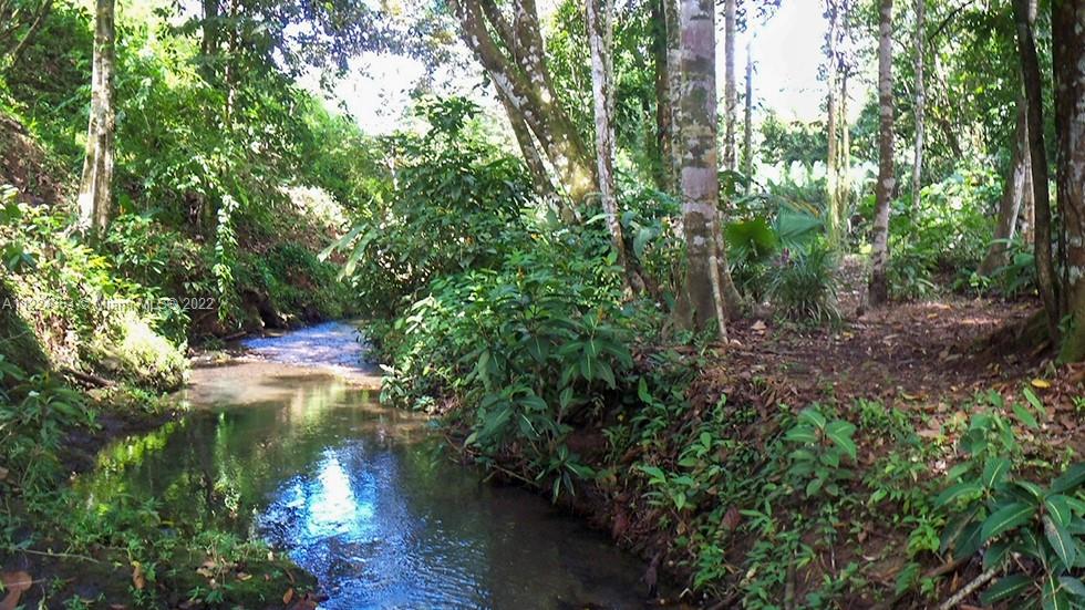 A CREEK RUNS THROUGH PROPERTY