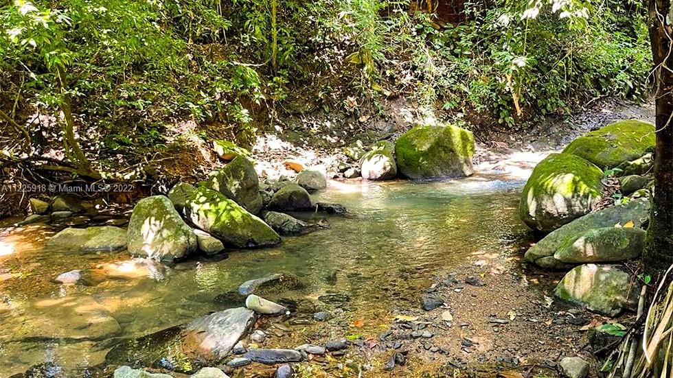 A CREEK RUNS THROUGH PROPERTY