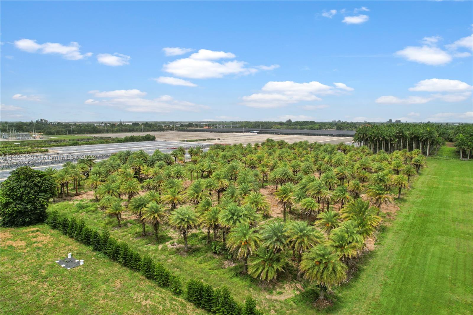 5 ACRE BUILDABLE LAND Approx. 200 Sylvester palms remain. This is an in demand tree with staggered heights.