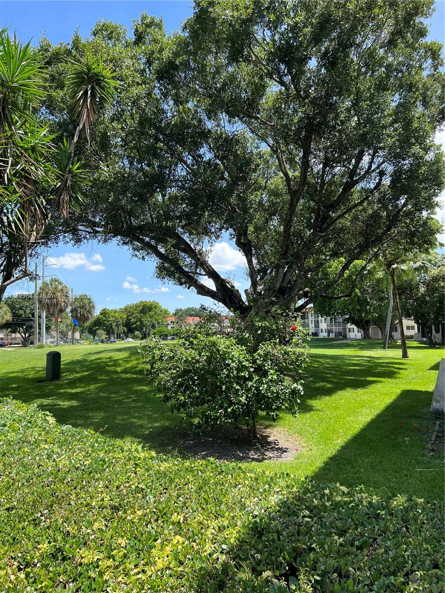 Golf Course View