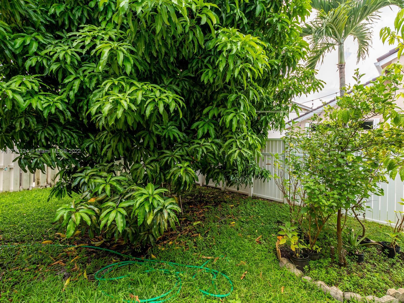 Listing Photo 27