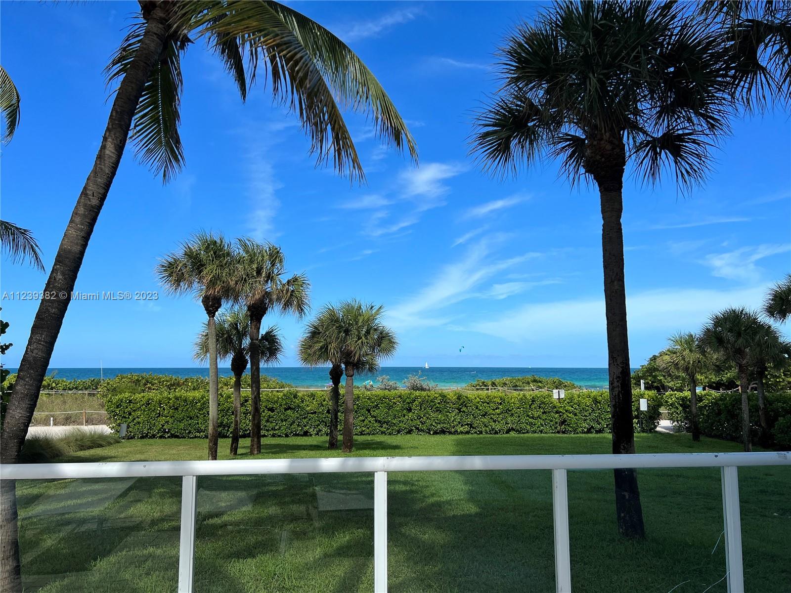 Beach/Ocean View from the Pool and Back Yard