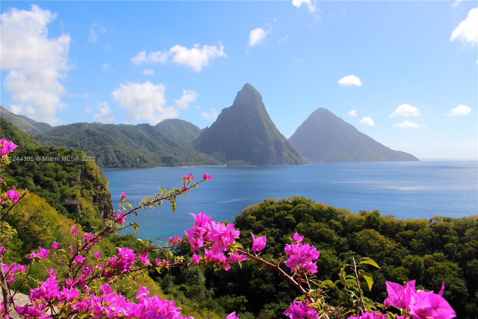 The renown pitons of the St. Lucian coastline.