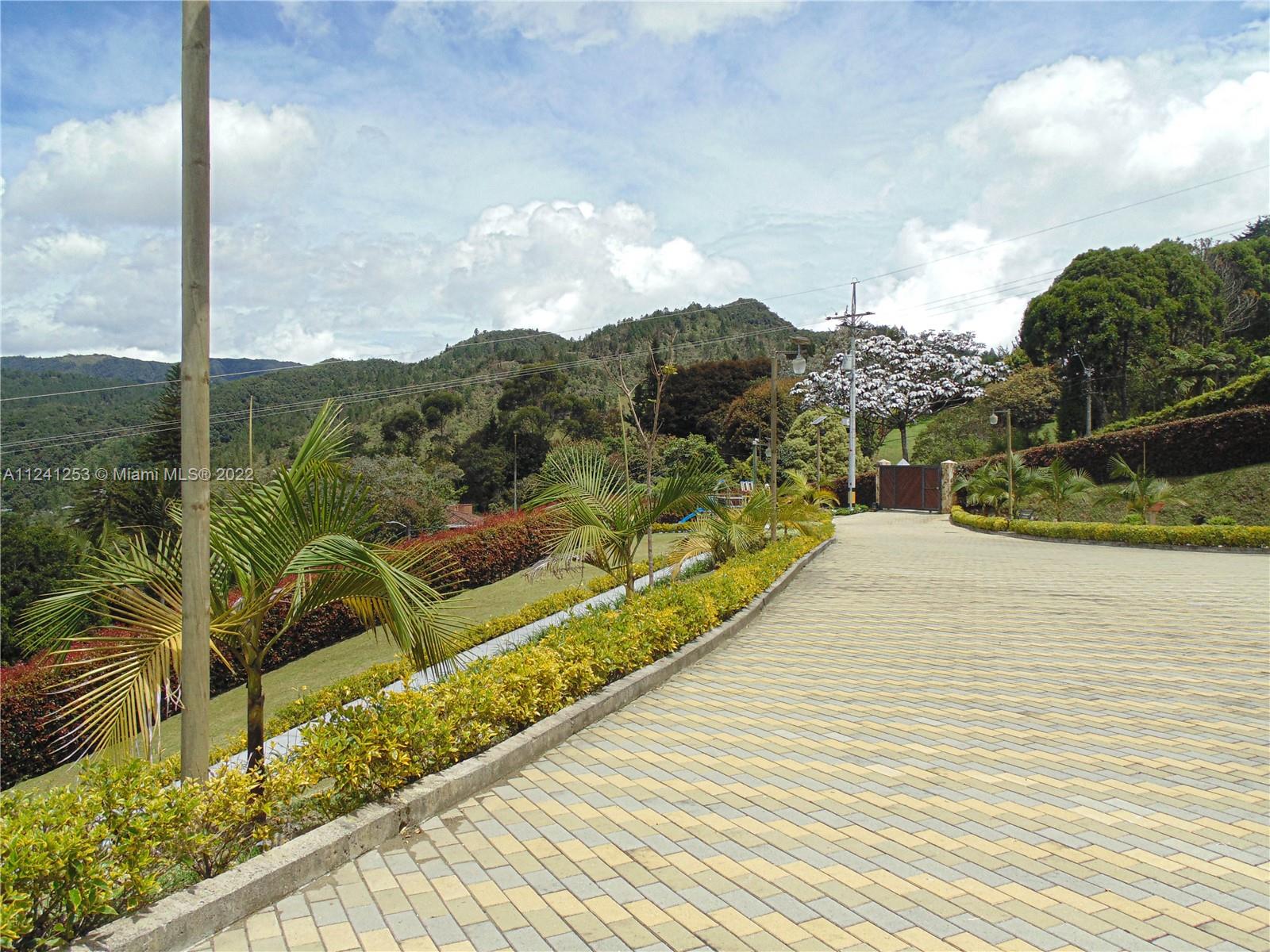 Garden main Entrance with Electric Gate
