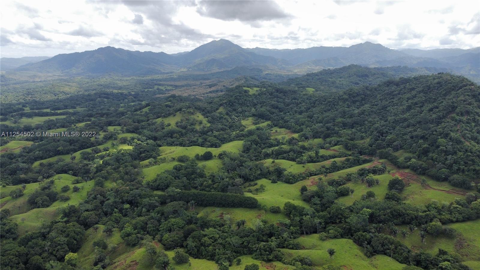 flora are important parts of the entire farm, establishing a biological corridor between one area and another as seen here, allowing not only to have habitats rich in both flora and fauna, but also, allowing to have mountain areas that manage to preserve the water springs that the farm has.