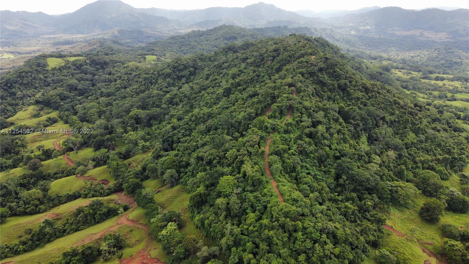 Besides observing in this image the nuance of the different tree species, we can observe the endless possibilities of connectivity of the farm with the coast.