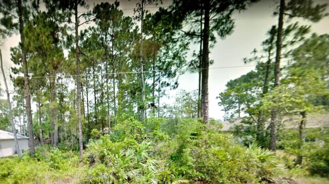 109 BEACON MILL LN
PALM COAST, FL 32137