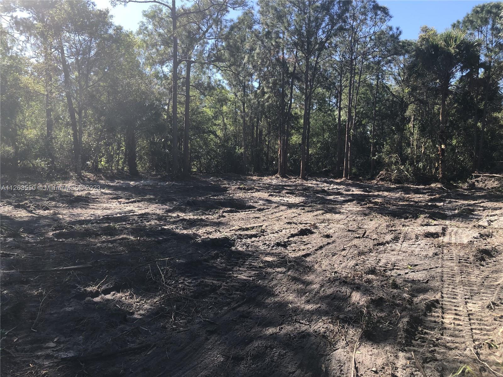 Partially Cleared lot