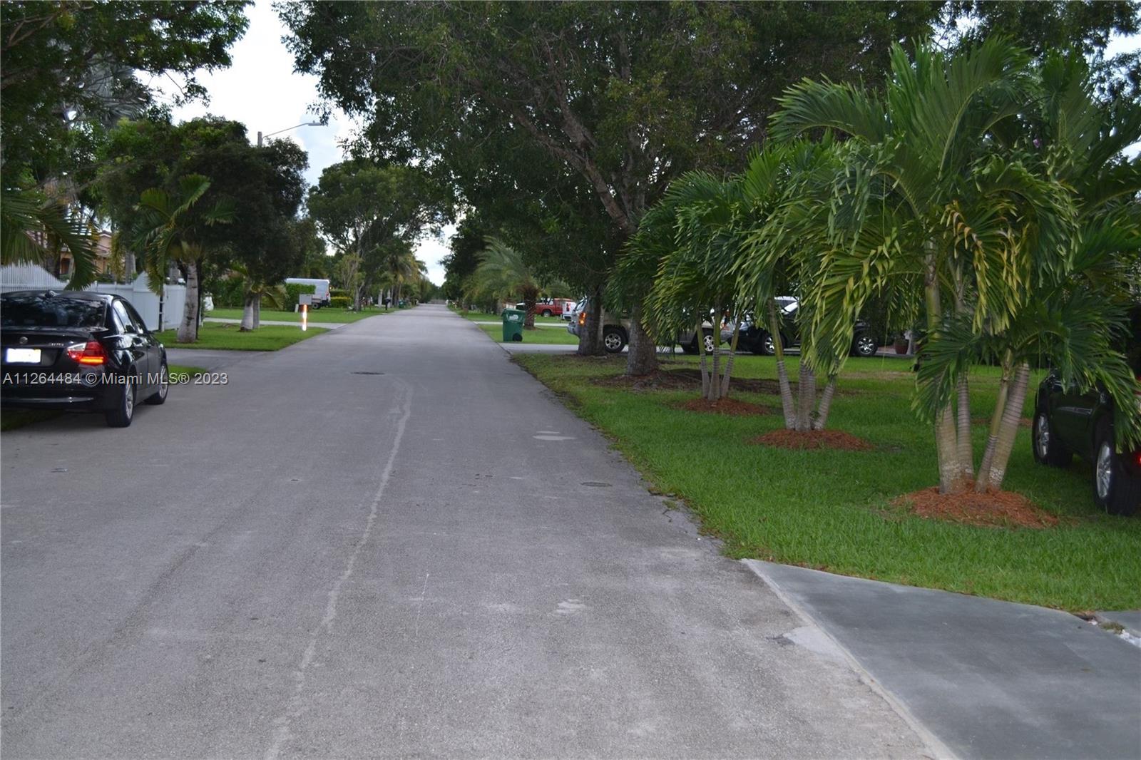 Neighborhood street view on the left side of the house.