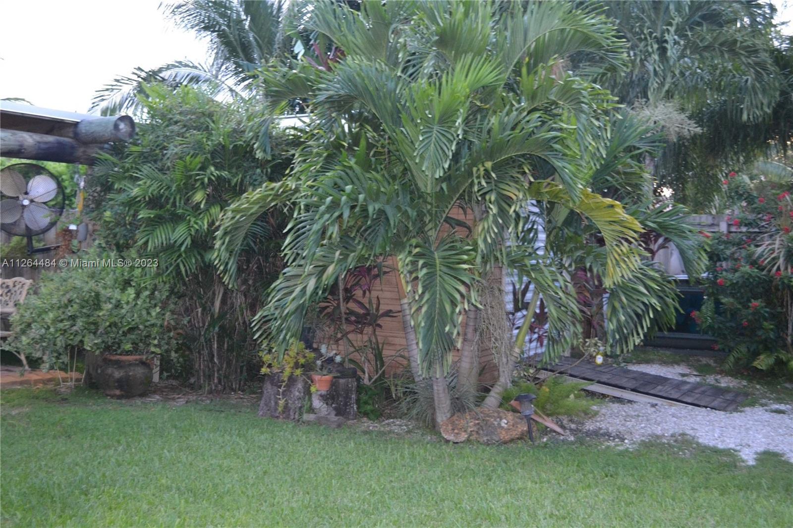 Shed next to the tiki hut not included in the sale.