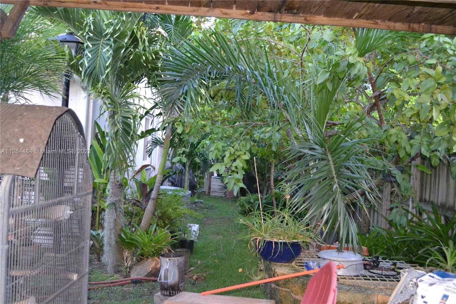 Side yard next to the Tiki hut.