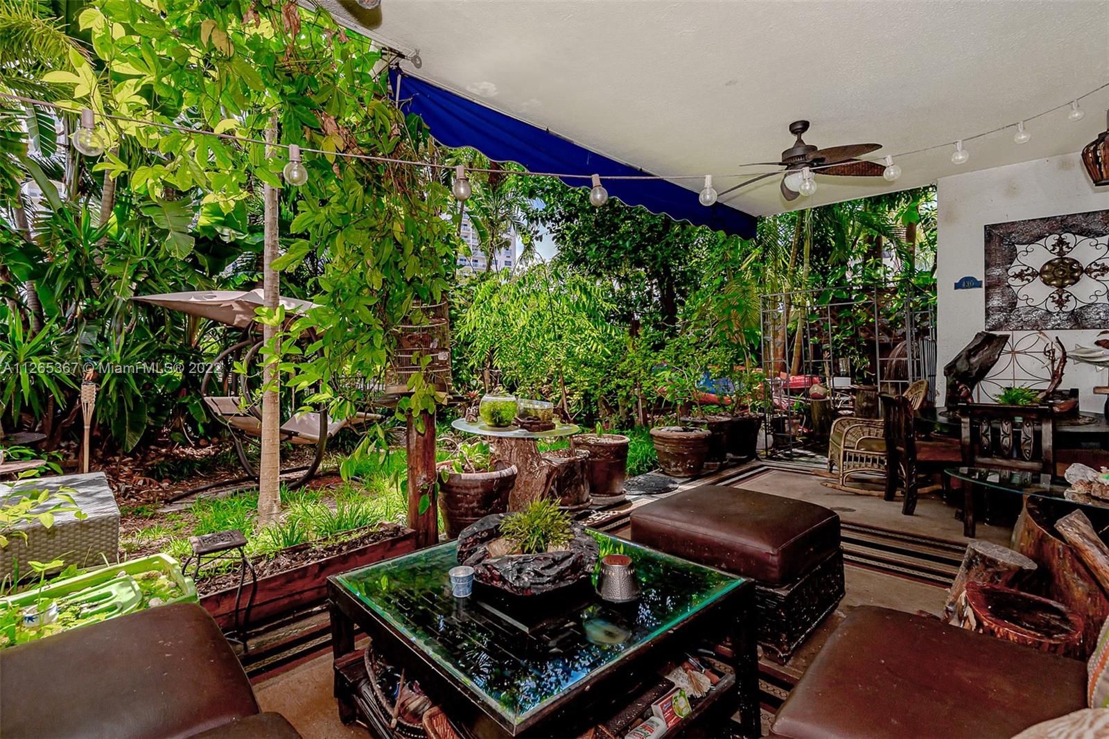 Beautiful Yard with tropical trees.