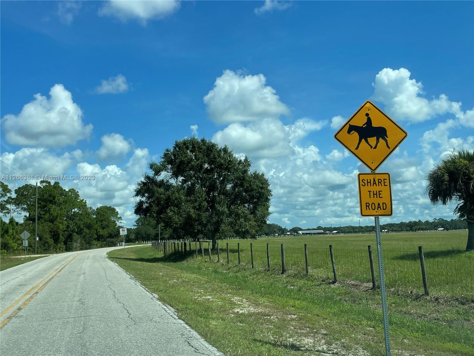 Horses welcome