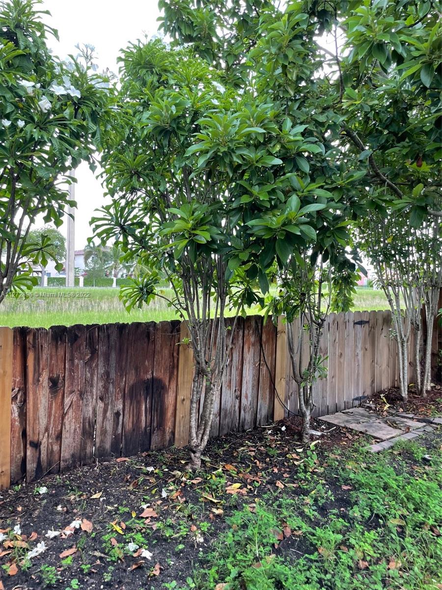 Back low fence and view