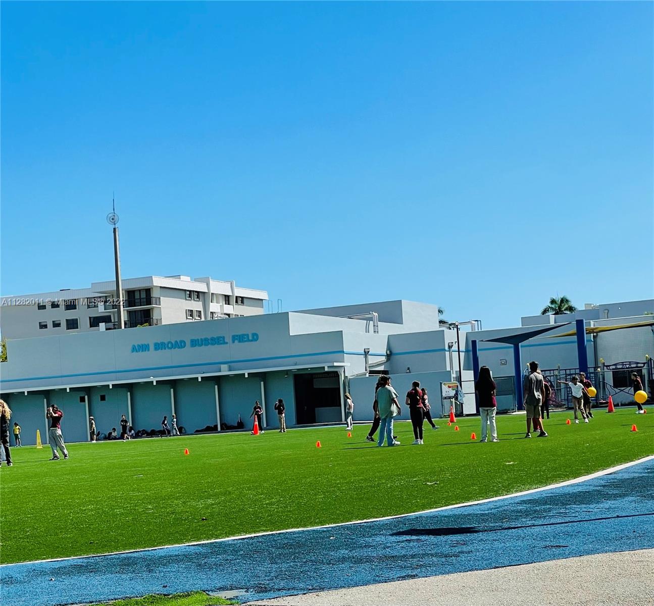 Field