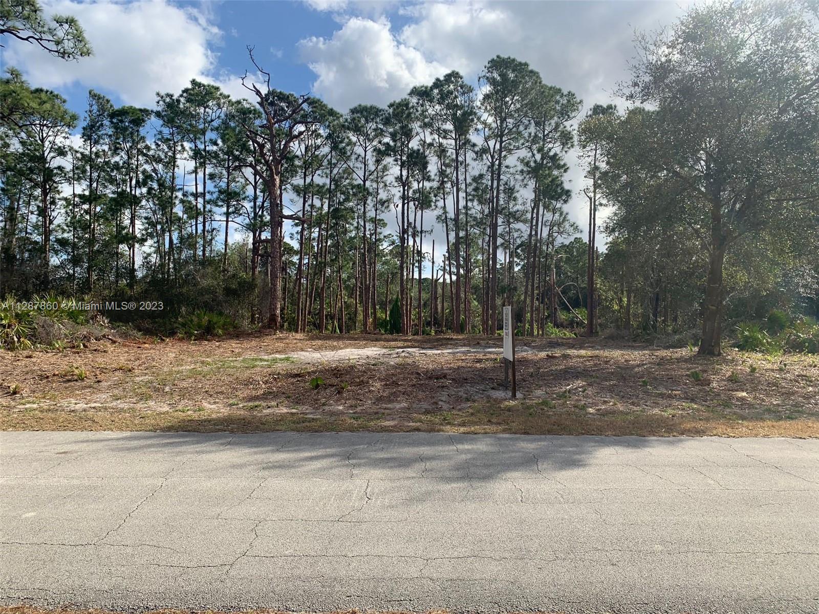 Lot View