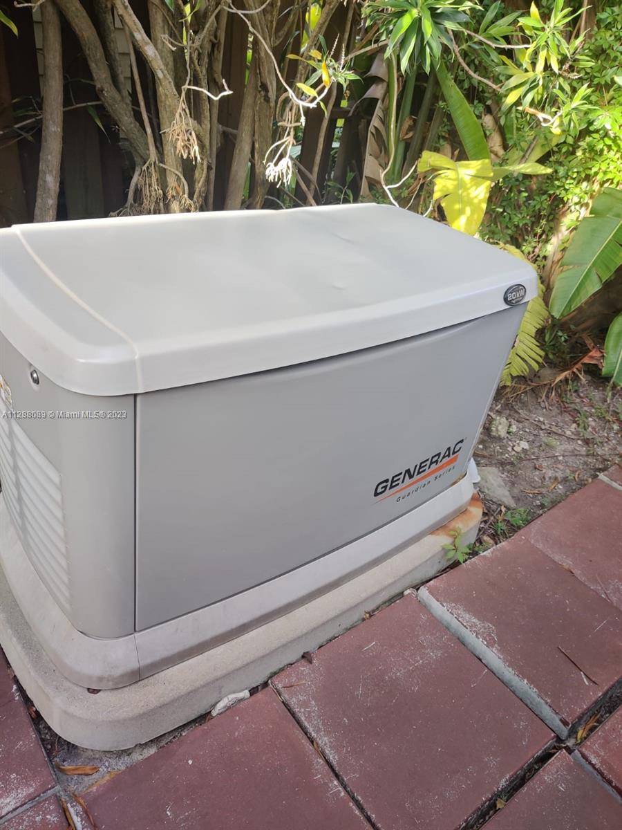 Gas Generator for the entire house
