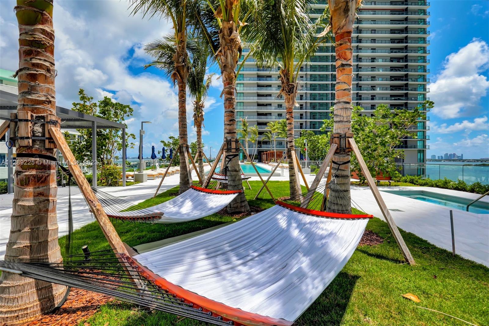 Hammocks under palm trees