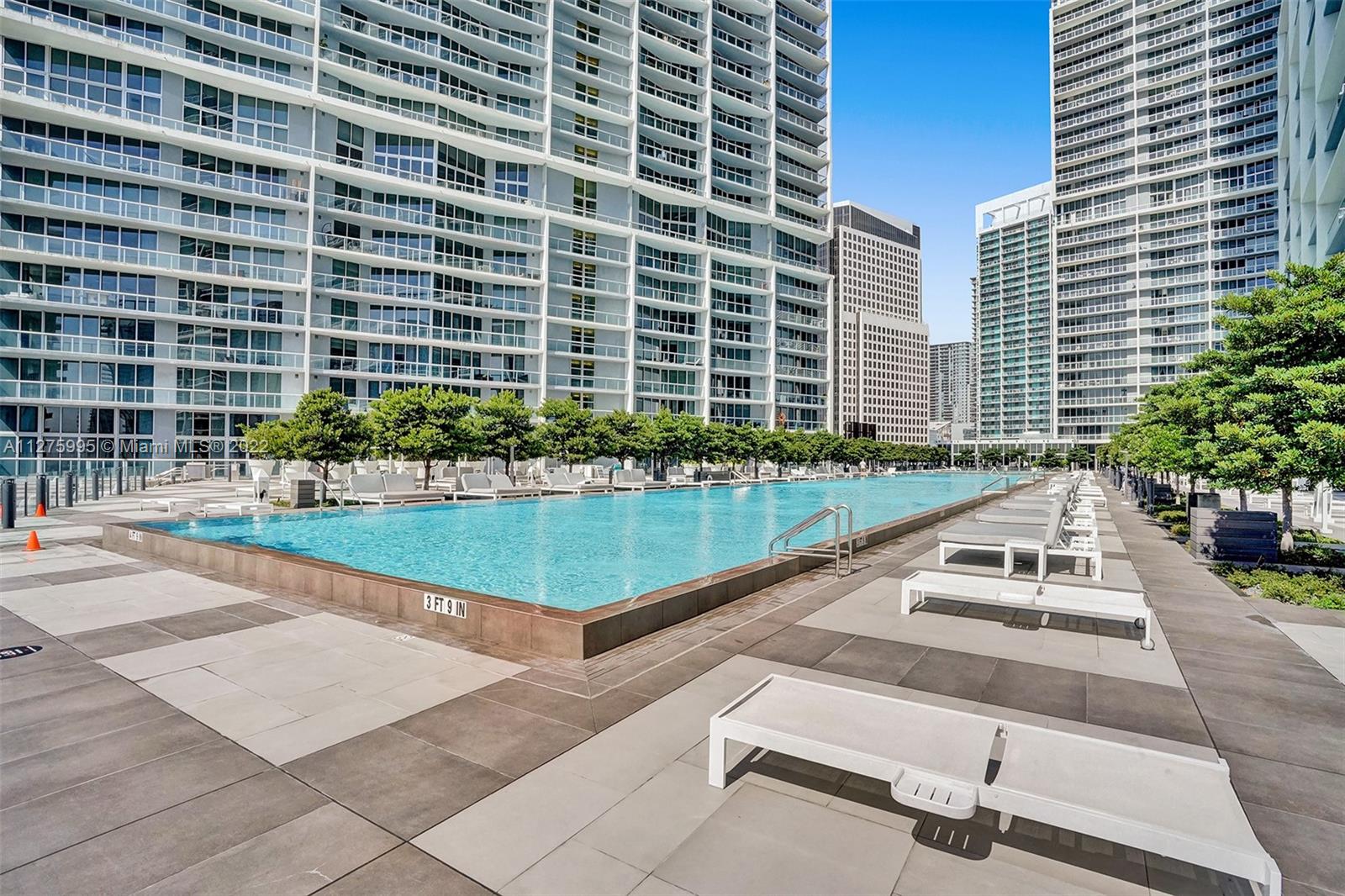 Olympic Size Lap Pool