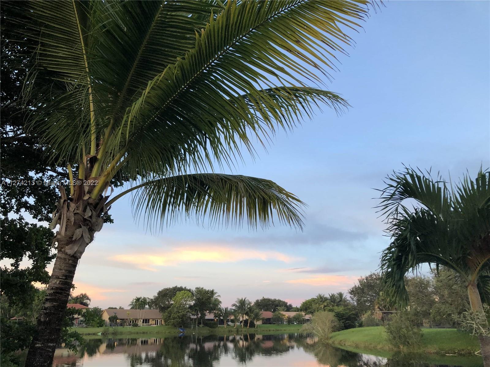 Splendid view across the lake from the backyard!